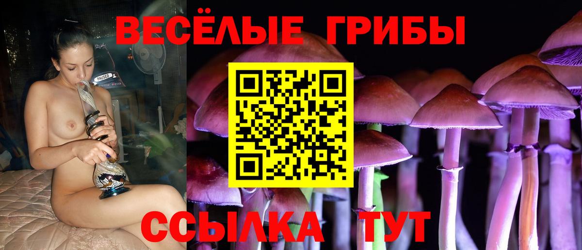 Галлюциногенные грибы прущие грибы Сухой Лог